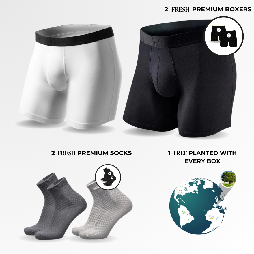 Boxhero Prime Club Subscription Tree